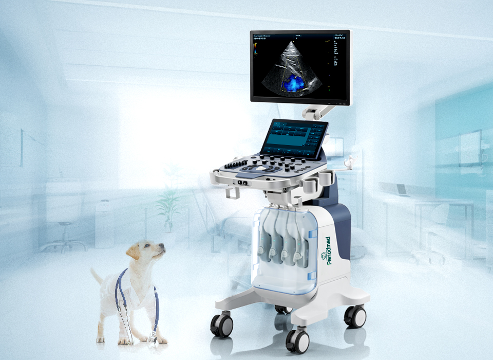 Research Ultrasound System
