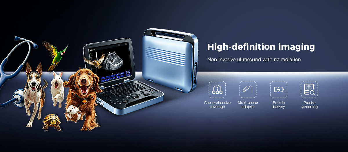 Comprehensive coverage, multi-functional