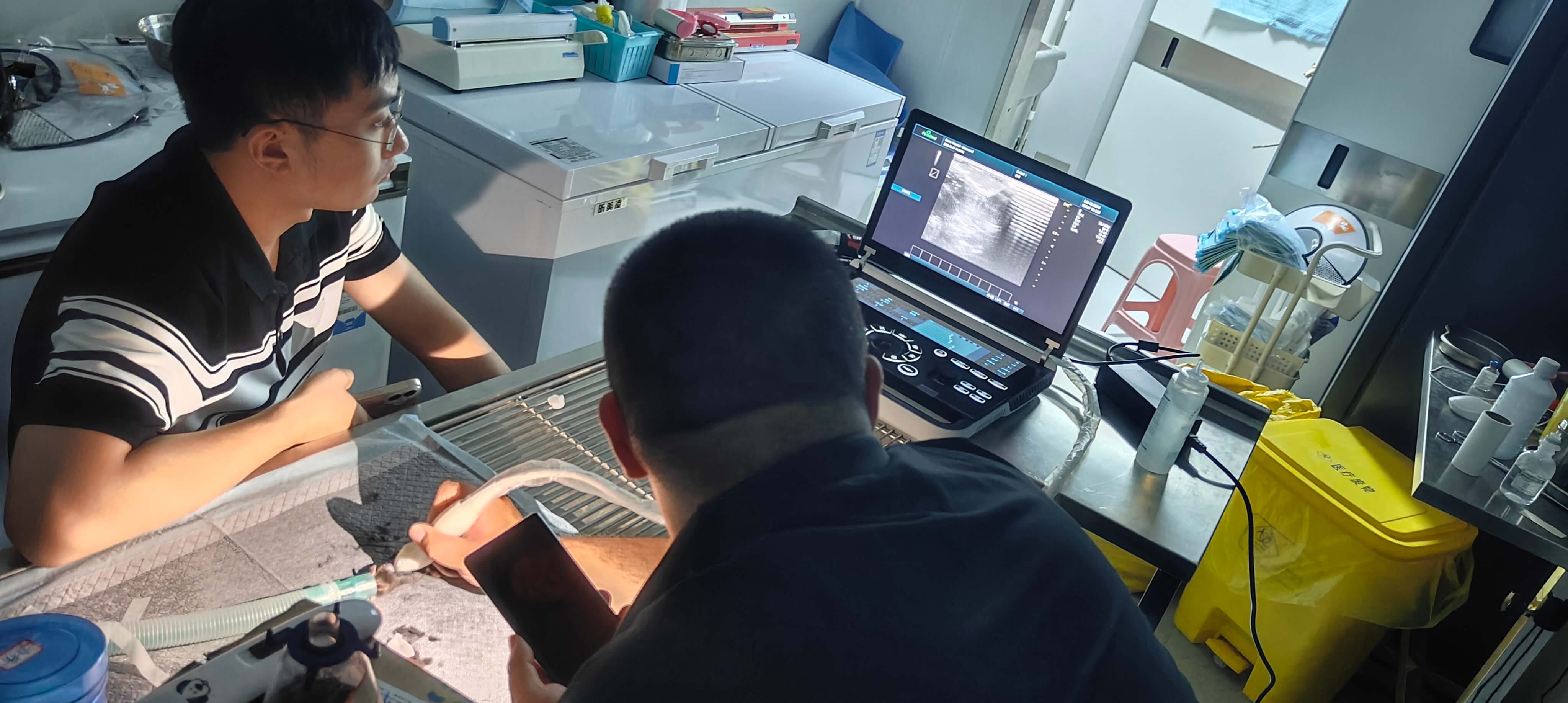Unveiling the Drug Code in 30-gram Mice: Periodmed Revo 9 Vet Aids Cutting-Edge Drug Research